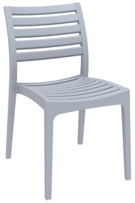 ΚΑΡΕΚΛΑ ΠΟΛΥΠΡΟΠΥΛΕΝΙΟΥ ARES SILVER GRAY