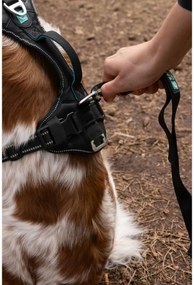 Λουρί Σκύλου SYMBIOZ Μαύρο XXS