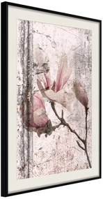 Αφίσα - Queen of Spring Flowers III - 30x45 - Μαύρο - Με πασπαρτού