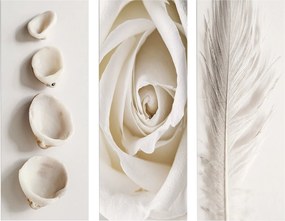 ΠΙΝΑΚΑΣ ΤΡΙΠΤΥΧΟ MDF NATURAL ELEMENTS HM7204.05 60X0,3X50 εκ.