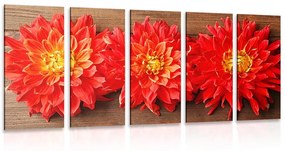 5 μέρος εικόνα λουλούδια κόκκινα ντάλια - 100x50