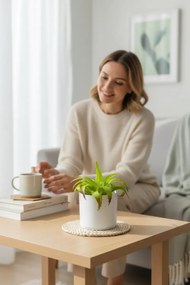 Stewehome Τεχνητός κάκτος σουκλέντης σε λευκή γλάστρα