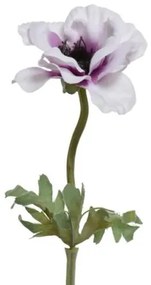 Beauty Home ΑΝΕΜΩΝΗ 57 CM