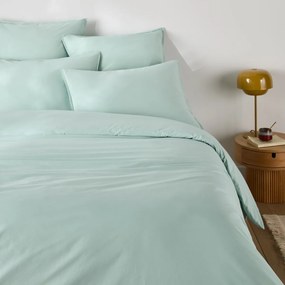 Μαξιλαροθήκη από προπλυμένο βαμβάκι, Scénario