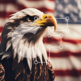 Intra Συλλεκτικό Ξύλινο Παζλ Plywood 4mm - Μεγαλοπρεπής αετός με αμερικανική σημαία Σε Ξύλινο Κουτί - Διαστάσεις: 10x10 cm – 25 κομμάτια