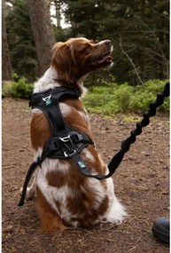 Λουρί Σκύλου SYMBIOZ Μαύρο XXS