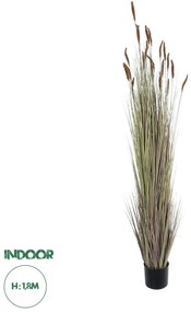 21103 GloboStar® Artificial Garden BROWN LAGURUS 21103 Διακοσμητικό Φυτό Καφέ Λαγοουρά Υ180cm