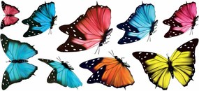 Αυτοκόλλητα Παραθύρου Διπλής Όψης Ango Butterflies 69002