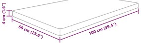 vidaXL Πάγκος Μπάνιου 100x60x4 εκ. Ακατέργαστο Μασίφ Ξύλο