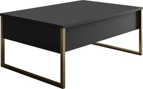 Τραπεζάκι Σαλονιού Ανθρακί / Χρυσό FLUPER 90x60x40