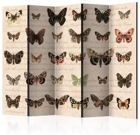 Διαχωριστικό με 5 τμήματα - Retro Style: Butterflies II [Room Dividers] 225x172