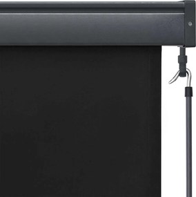 vidaXL Ρόλερ Ανθρακί 180 x 250 cm Ύφασμα και Αλουμίνιο