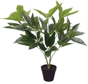 MarHome ΔΕΝΤΡΟ TΗΣ ΤΥΧΗΣ ΣΕ ΓΛΑΣΤΡΑ - Υ60cm 6/KIB  04-20020