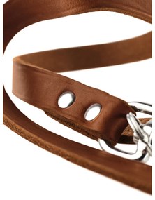 Λουρί Σκύλου Hunter Καφέ 200 cm