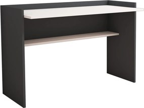 ΓΡΑΦΕΙΟ ΜΕΛΑΜΙΝΗΣ ΓΚΡΙ ΛΕΥΚΟ CLASSIKER HM9227.13 118x58x80Υεκ.