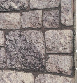 vidaXL Πάνελ τοίχου 10 τμχ. 100 x 50 cm Γκρι και Λευκό Αφρός EPS