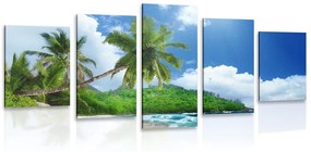 Εικόνα 5 μερών μιας όμορφης παραλίας στο νησί των Σεϋχελλών