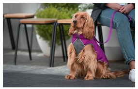 Παλτό Σκύλου Red Dingo Puffer Ροζ/Μωβ 35 cm