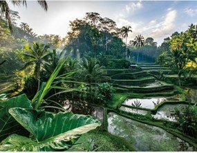 Παζλ Ravensburger Nathan