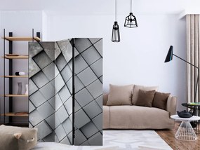 Διαχωριστικό με 3 τμήματα - Gray background 3D [Room Dividers]