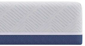 vidaXL Στρώμα Λευκό και Μπλε 80 x 160 cm Pěna