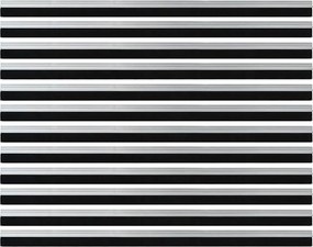 vidaXL Αυτοκόλλητες σφραγίδες πόρτας 12 pcs Ασημί 100 cm