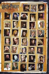 Αφίσα Χάρι Πότερ - Χαρακτήρες, (61 x 91.5 cm)