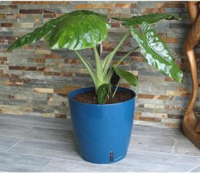 Βάζο Λουλουδιών Riss RIV3580796331061 Ø 30 cm