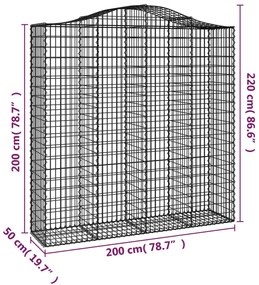 vidaXL Συρματοκιβώτια Τοξωτά 2 τεμ. 200x50x200/220 εκ. Γαλβαν. Ατσάλι