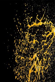 Χαλί Exfab82 102HFT4379 Black-Gold Conceptum Hypnose 160X230cm