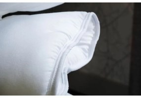 Σκανδιναβικό Παπλώμα Blanreve 300 g/m²