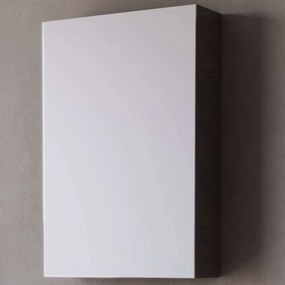 Καθρέπτης Μπάνιου Με Ντουλάπι Neon 3MNEO045ANM 45x14x68cm Anthracite Μελαμίνη,Mdf