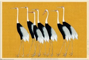 Αφίσα Ogata Korin - Flock of Beatiful Japanese Red Crown Crane, (91.5 x 61 cm)