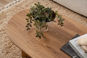 Coffee Table Oval Lute