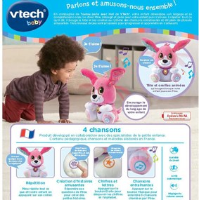 Αρκουδάκι με Ήχο Vtech Baby Doggie Talk to me (FR) Σκύλος