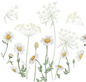 Fields of Daisies Ταπετσαρια Τοιχου Πρασινο Στρογγυλη 80cm