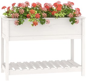vidaXL Ζαρντινιέρα με Ράφι Λευκή 111,5x54x81 εκ. Μασίφ Ξύλο Πεύκου