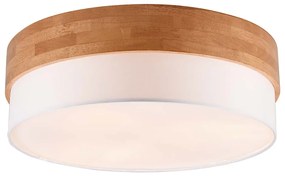 Φωτιστικό Οροφής Trio Lighting Seasons 611500301 Λευκό