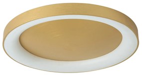 Φωτιστικό Πλαφονιέρα LED Dimmable Homelighting Amaya 77-8160 Gold
