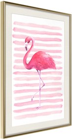 Αφίσα - Pink Madness - 20x30 - Χρυσό - Με πασπαρτού