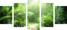 Μονοπάτι εικόνων 5 μερών στο νησί των Σεϋχελλών - 100x50