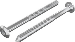 vidaXL Βίδες επίπλων 2 pcs Ασημί M6 x 85 χιλ. Ατσάλι