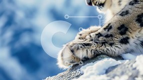 Intra Συλλεκτικό Ξύλινο Παζλ Plywood 4mm - Snow Leopard στους Snowy Rocks Σε Ξύλινο Κουτί - Διαστάσεις: 10x10 cm – 25 κομμάτια