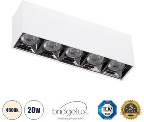 Επίτοιχο Σποτ Downlight LED TrimLess 20W Λευκό Κάτοπτρο Χρωμίου 4500K LUMINAR SUPERIOR 60330 Globostar-60330-Λευκό 60330
