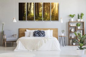 Δάσος με εικόνα 5 μερών λουσμένο στον ήλιο - 100x50