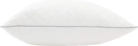 vidaXL Μαξιλάρι FULDA 50 x 50 cm 100% Πούπουλο και φτερό χήνας Λευκό