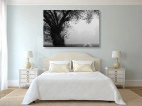 Εικόνα ενός τεράστιου ασπρόμαυρου δέντρου - 60x40
