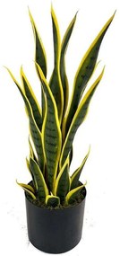 Τεχνητό Φυτό Σανσεβιέρα Trifasciata 6840-6 55cm Green-Yellow Supergreens Ύφασμα,Πλαστικό