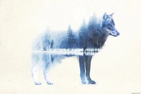 Αφίσα Forest Wolf, (91.5 x 61 cm)