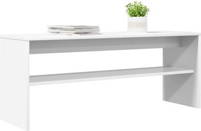 vidaXL Ντουλάπι TV Λευκό 100 x 30 x 40 εκ Επεξεργασμένο ξύλο